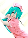 [Cosplay] Vocaloid Sexy Nurse Hatsune Miku(17)